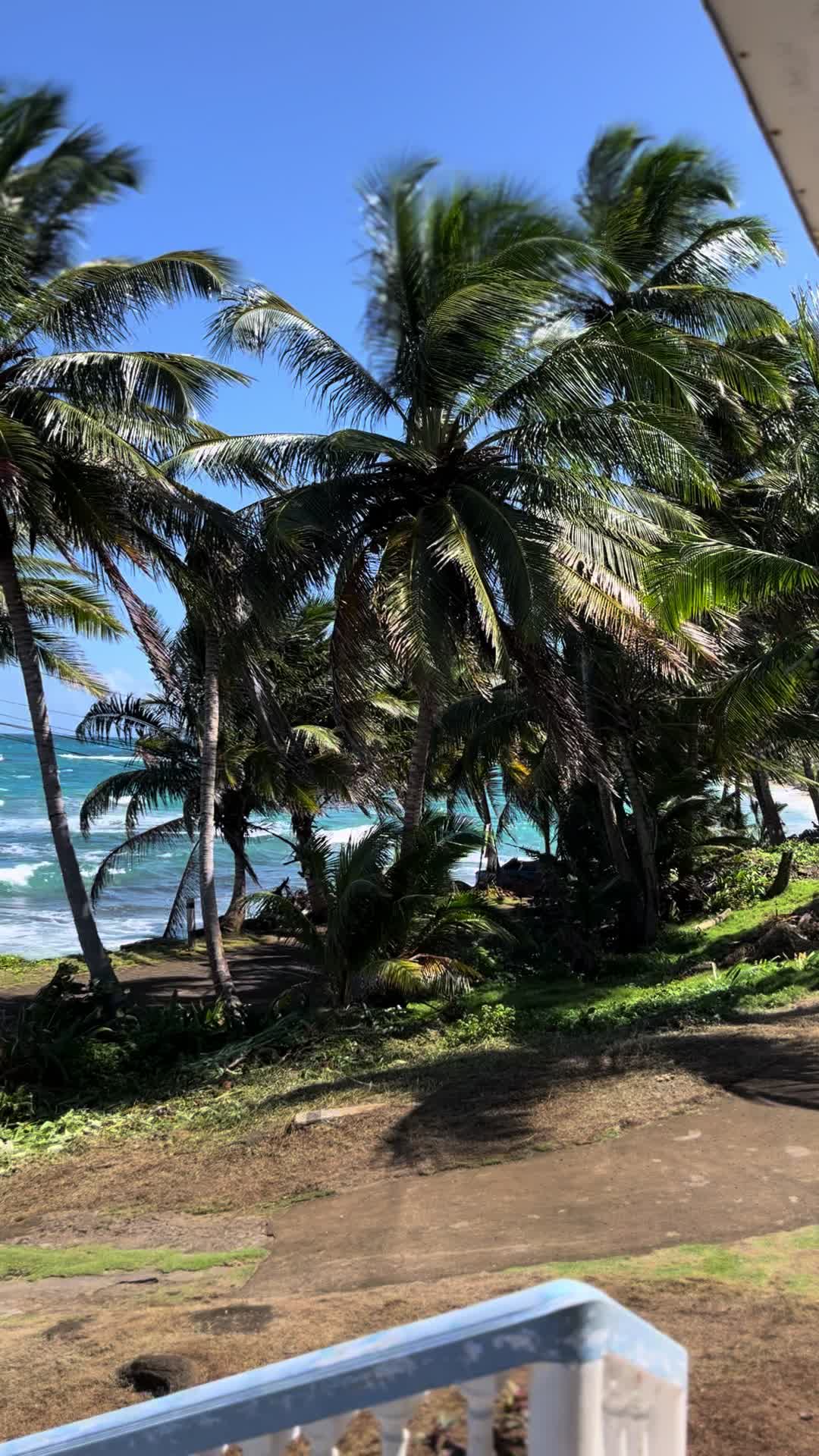 Corn Islands