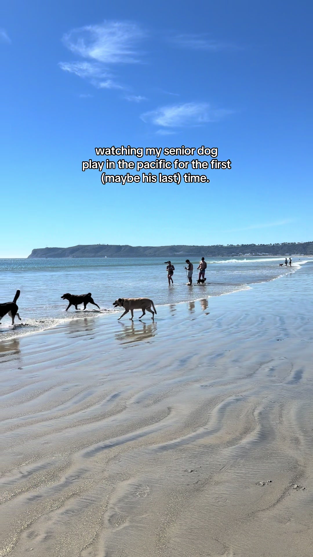 Coronado Dog Beach