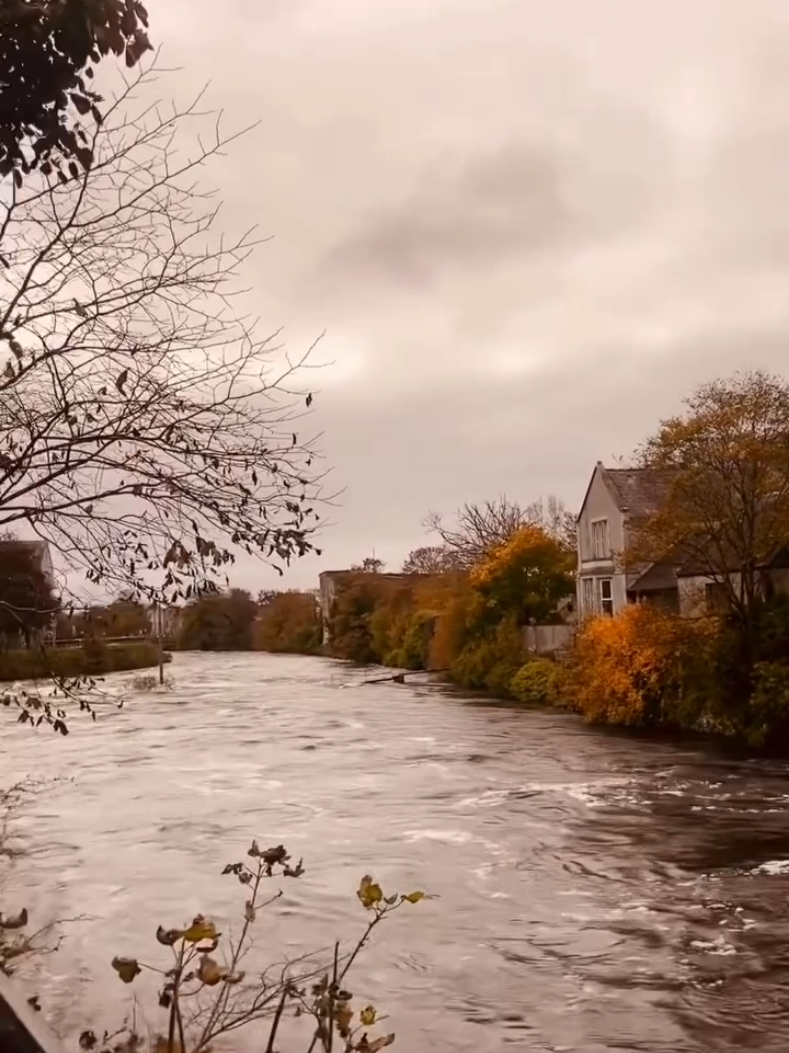 Corrib River Walks