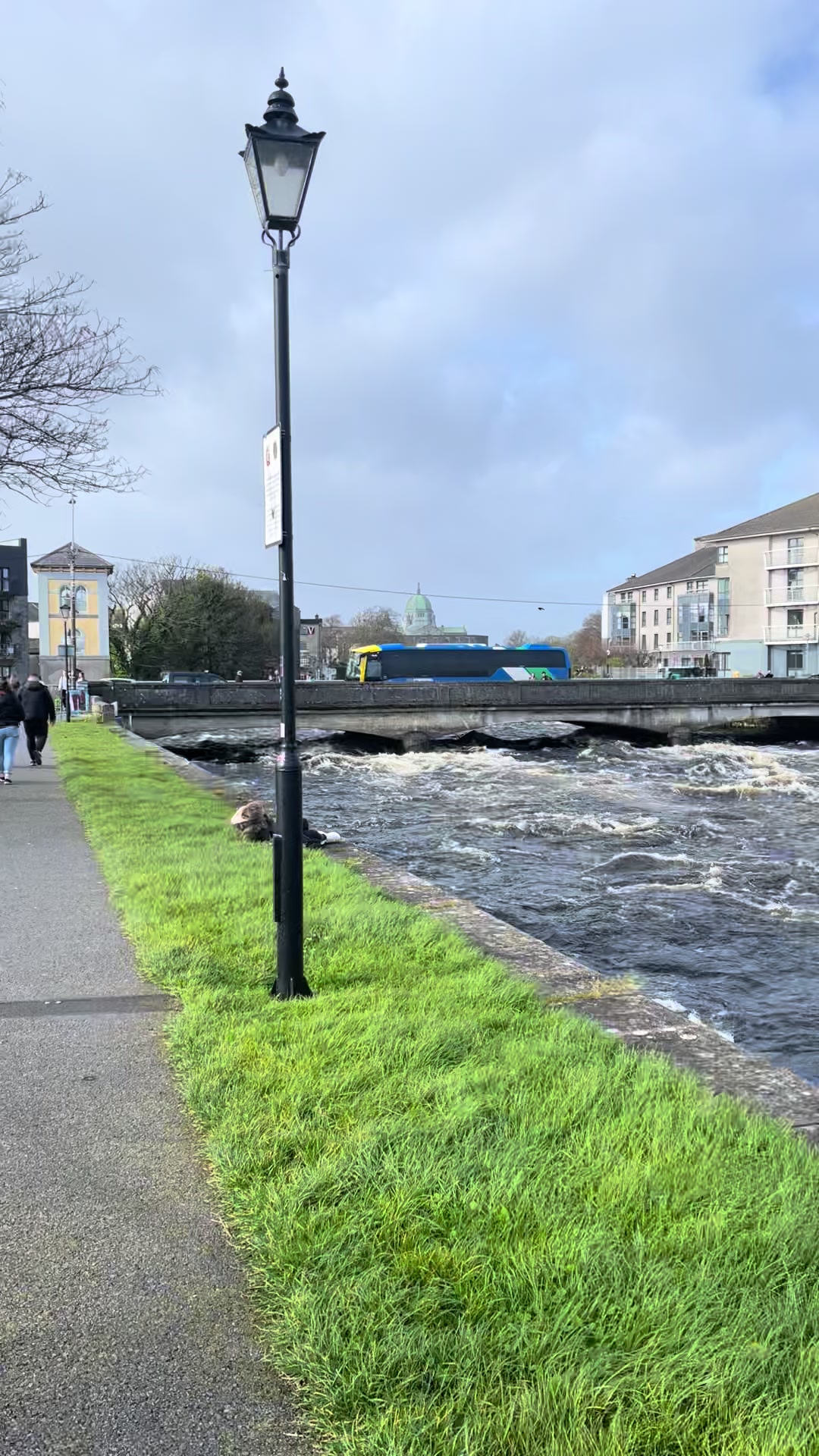 Corrib River Walks