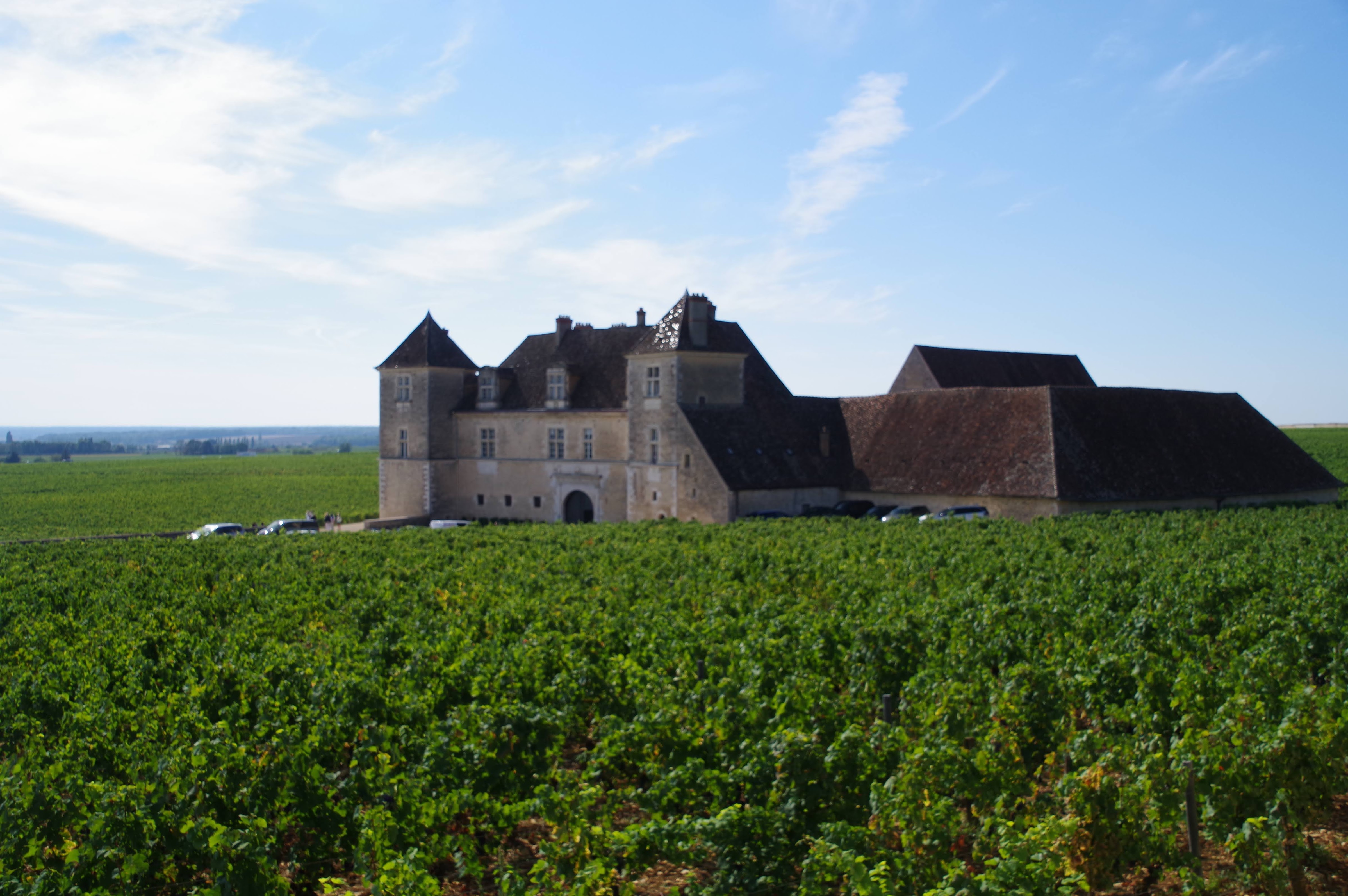 Route des Vins de Bourgogne (general scenic wine route)