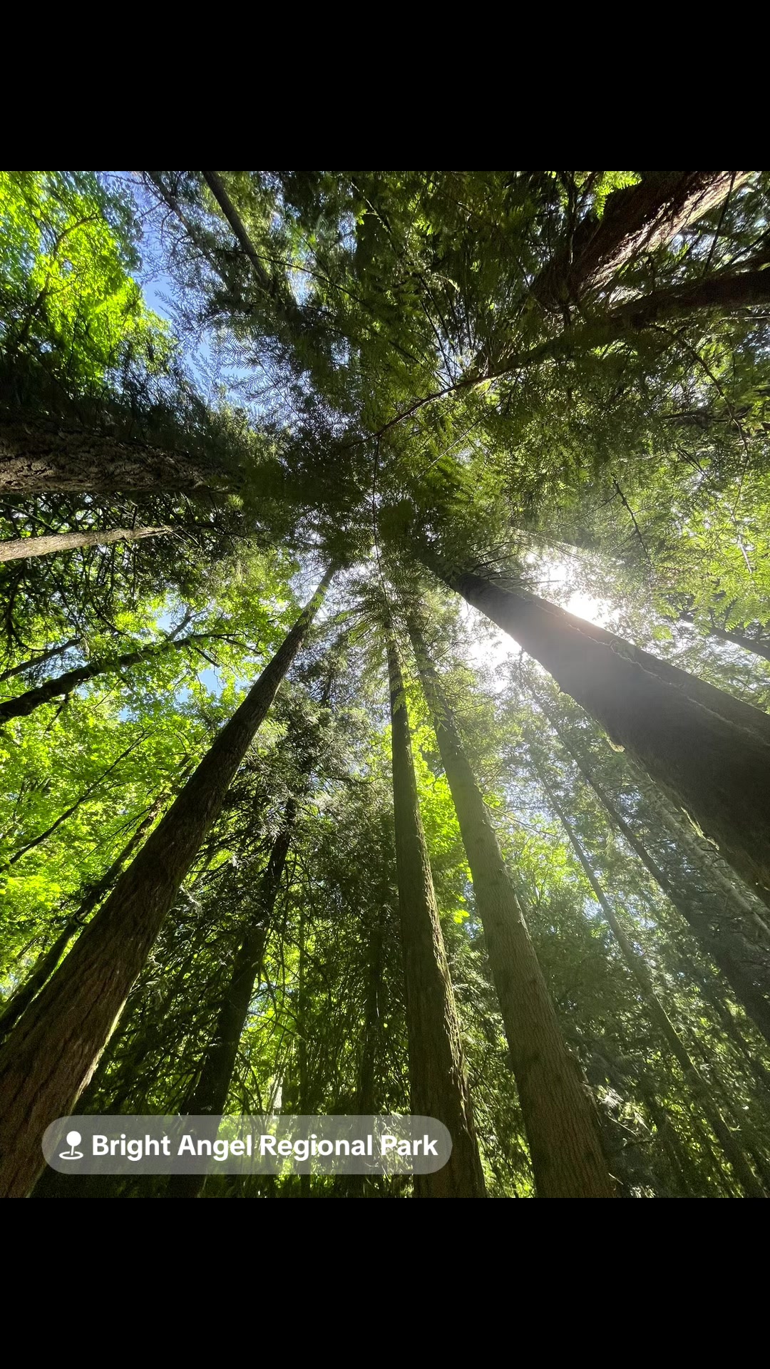 Cowichan Valley