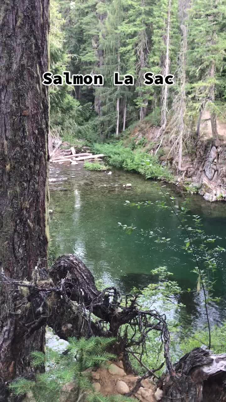 Cowlitz River