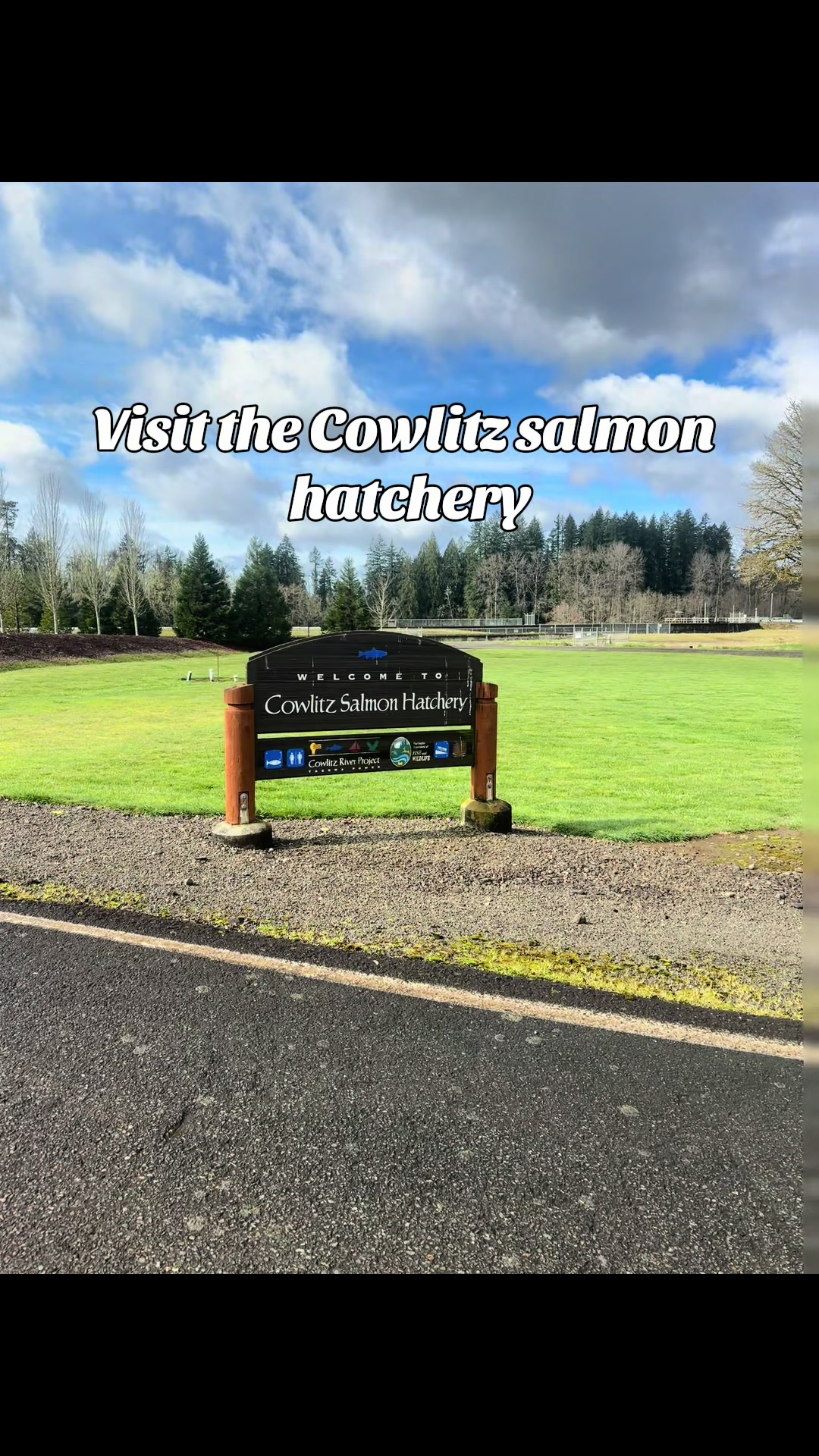 Cowlitz River