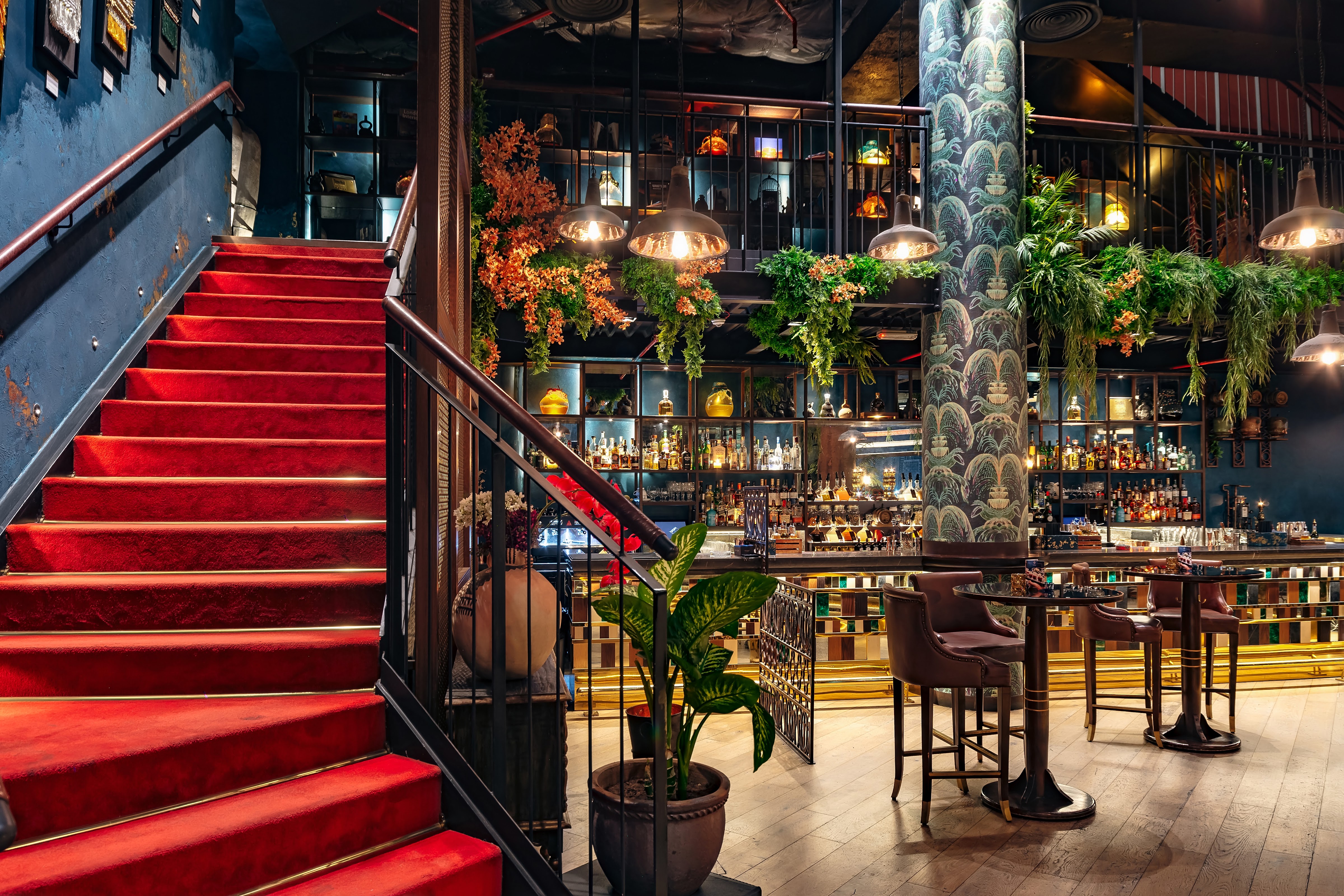 תמונה עבור Coya Abu Dhabi