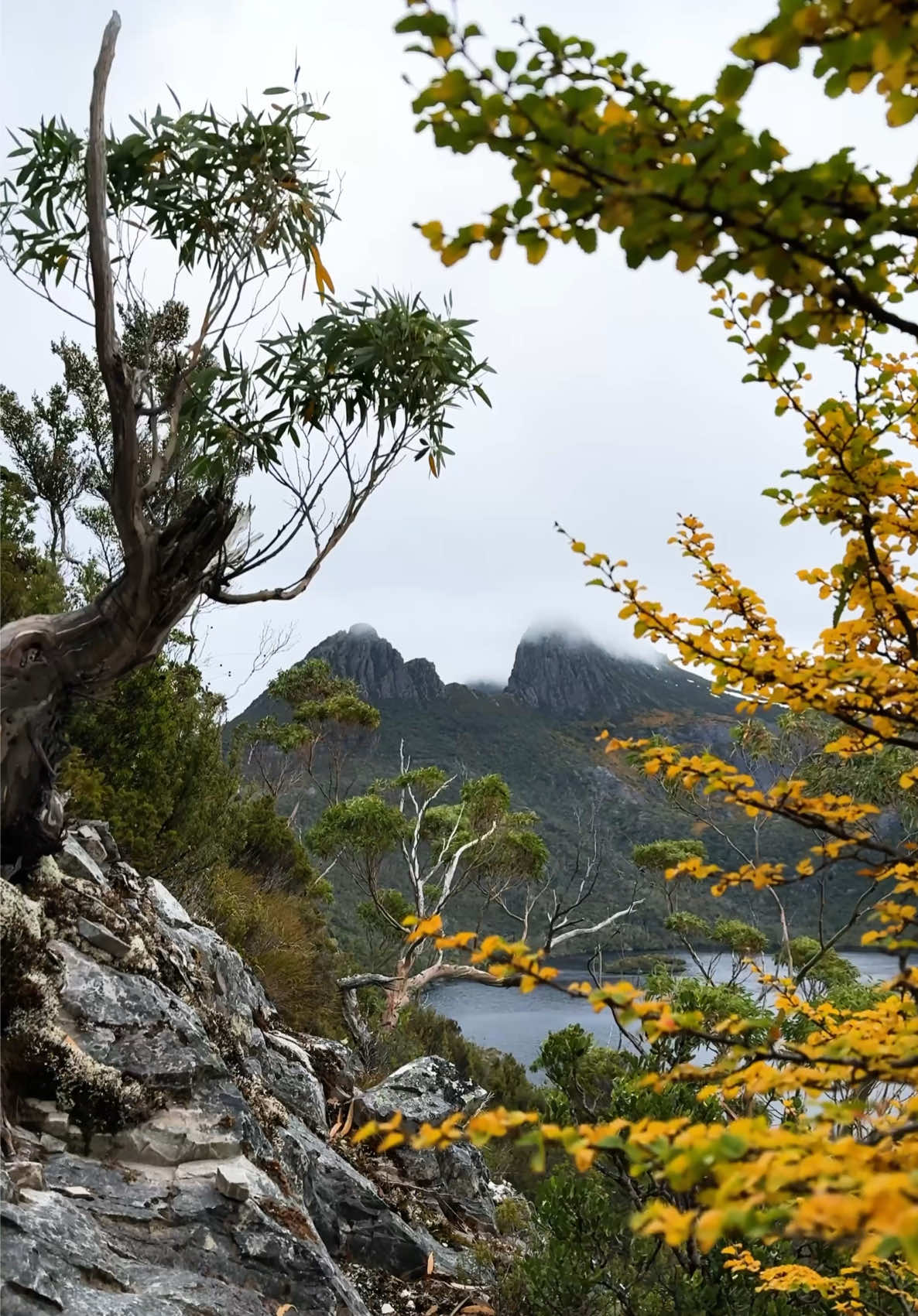 Cradle Mountain-Lake St Clair National Park