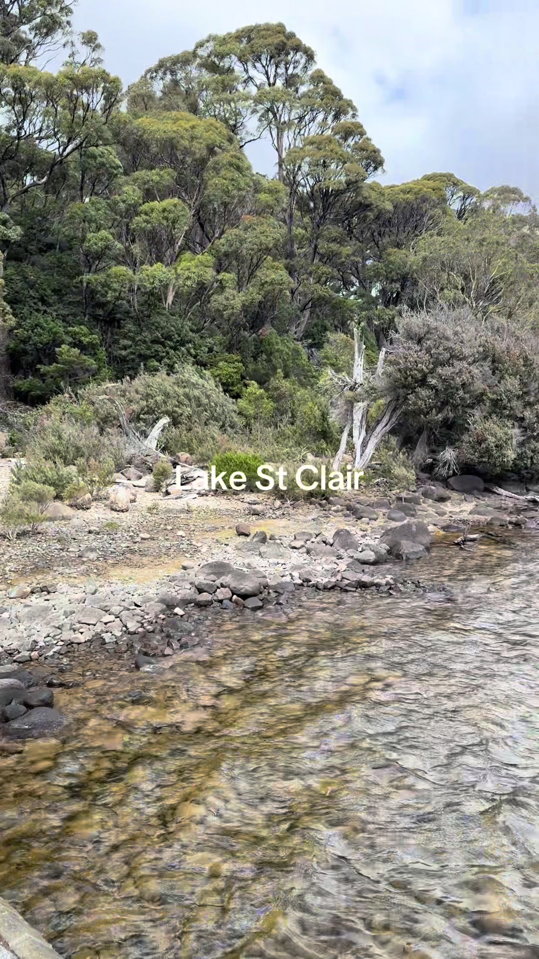 Cradle Mountain-Lake St Clair National Park