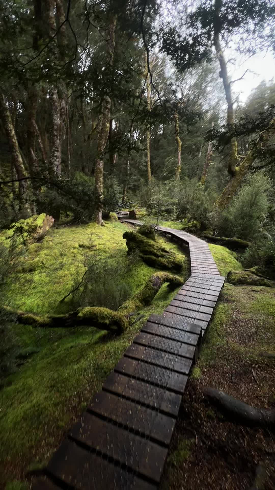 Cradle Mountain