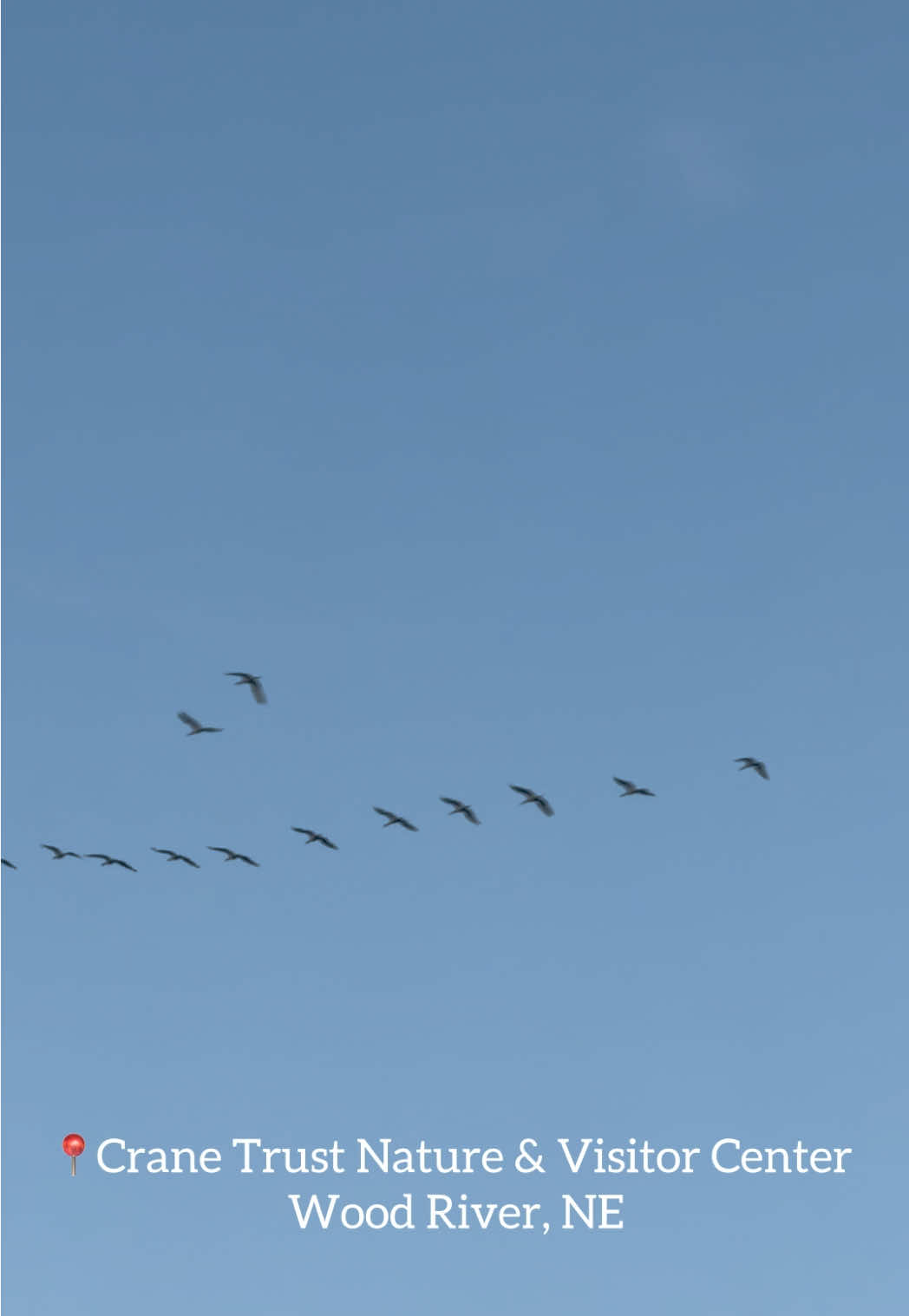 Crane Trust Nature & Visitor Center