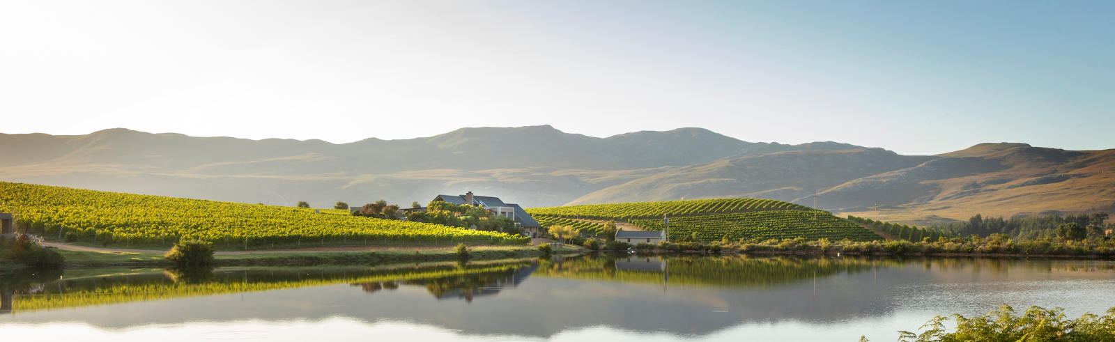 Picture for Creation Wines