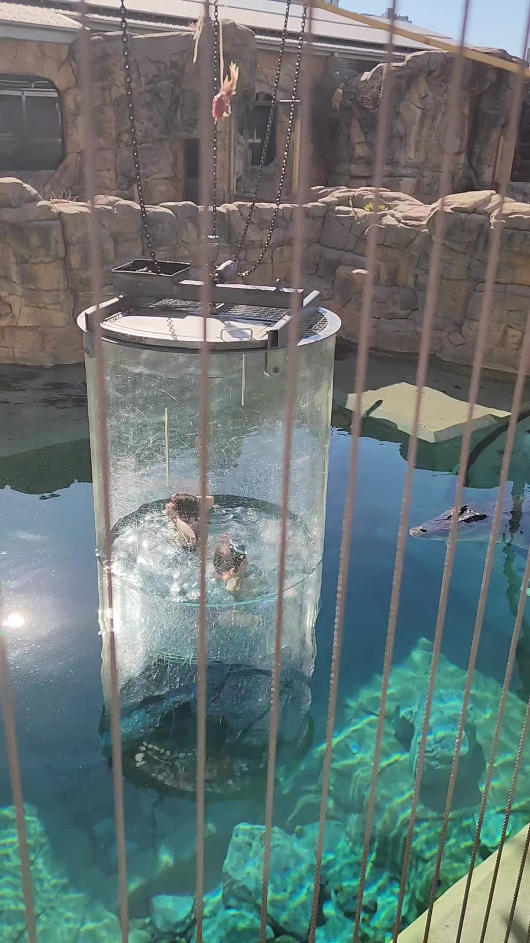 Crocosaurus Cove