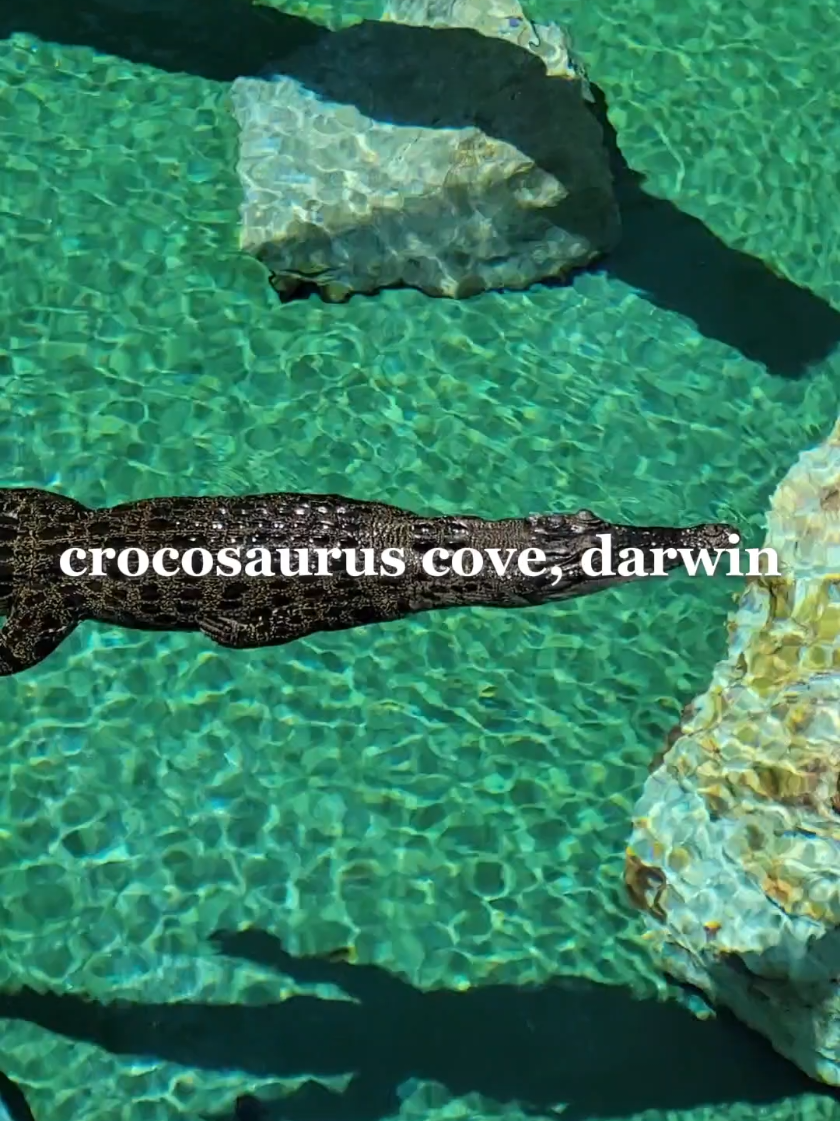 Crocosaurus Cove