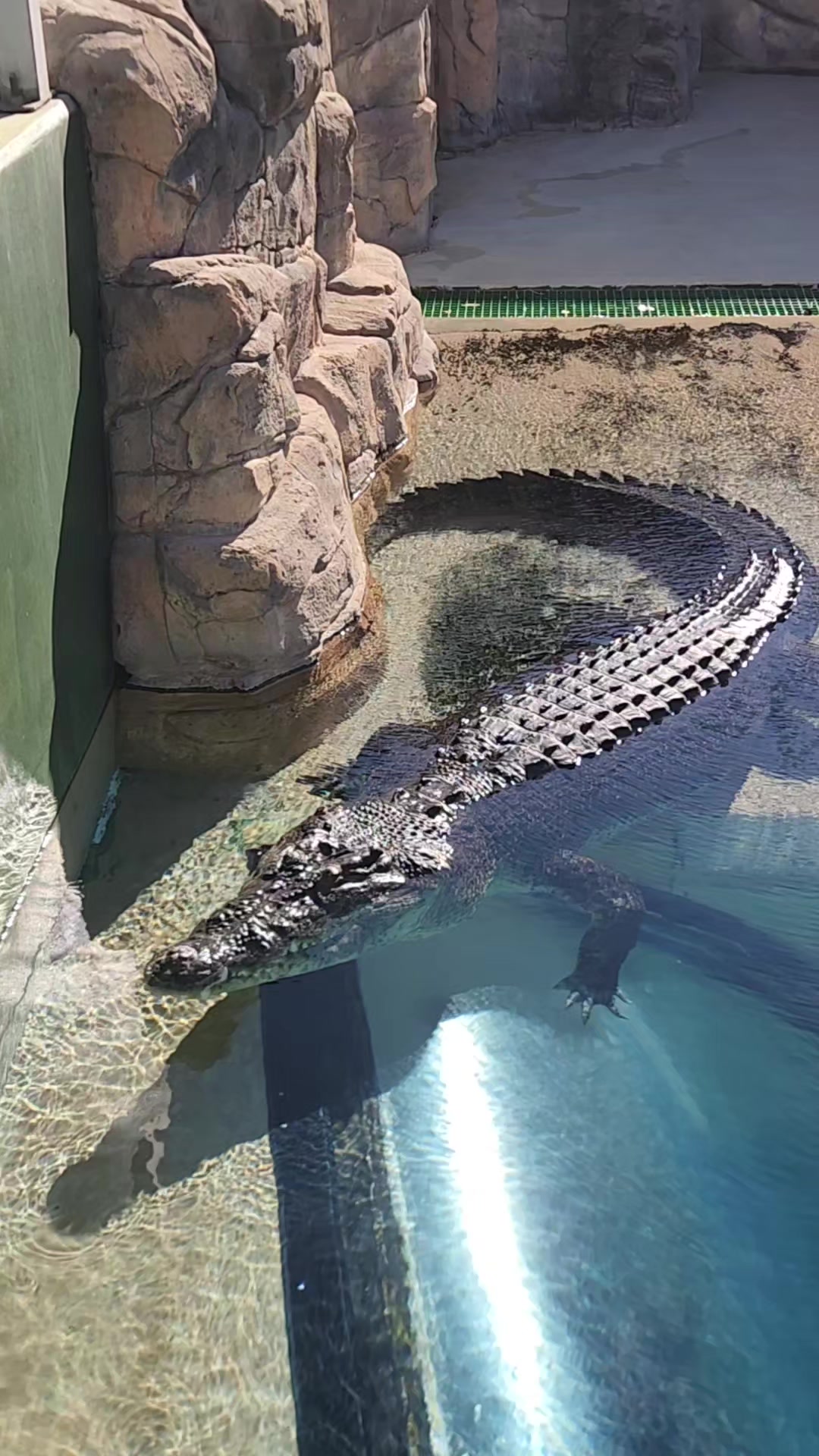 Crocosaurus Cove
