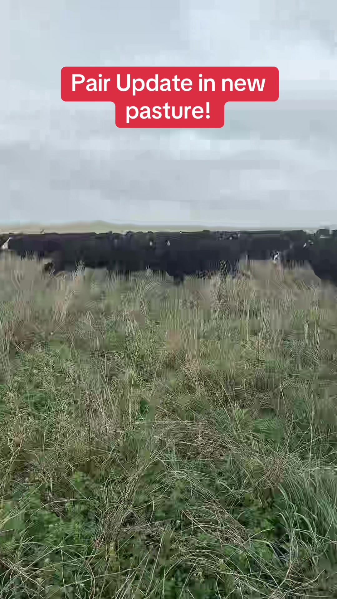 Cross Ranch State Park