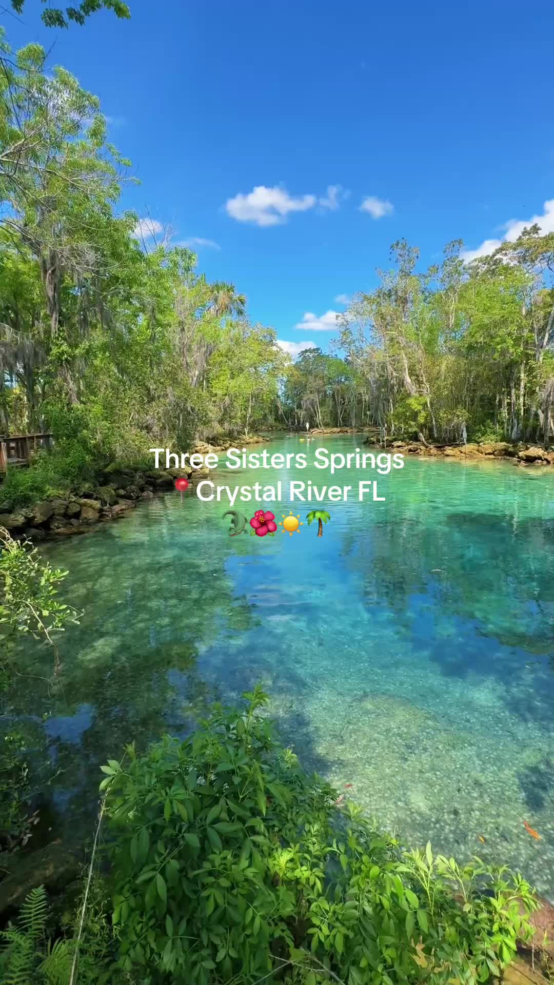 Crystal River