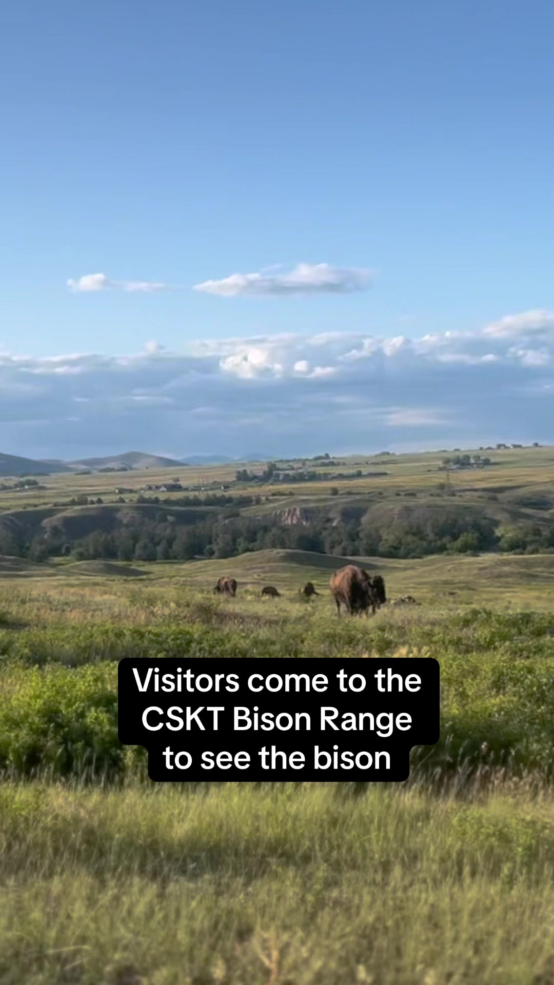 CSKT Bison Range