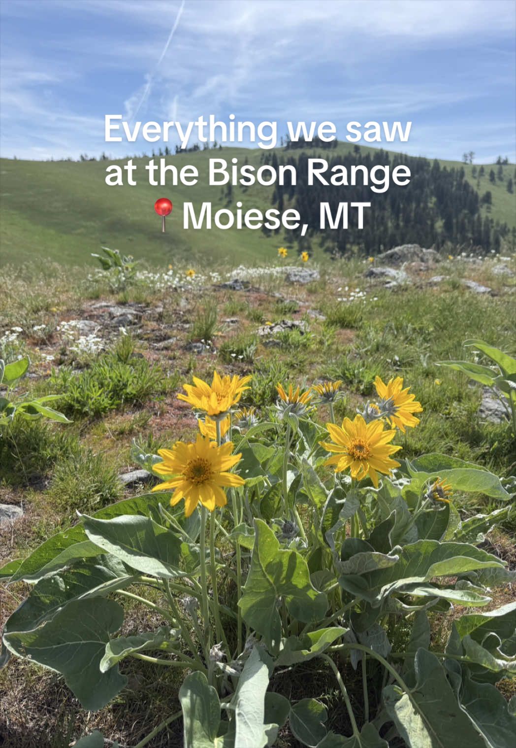 CSKT Bison Range