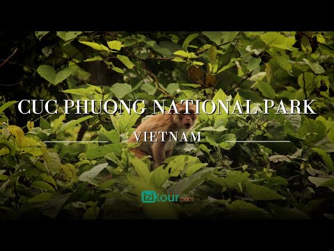 Cuc Phuong National Park