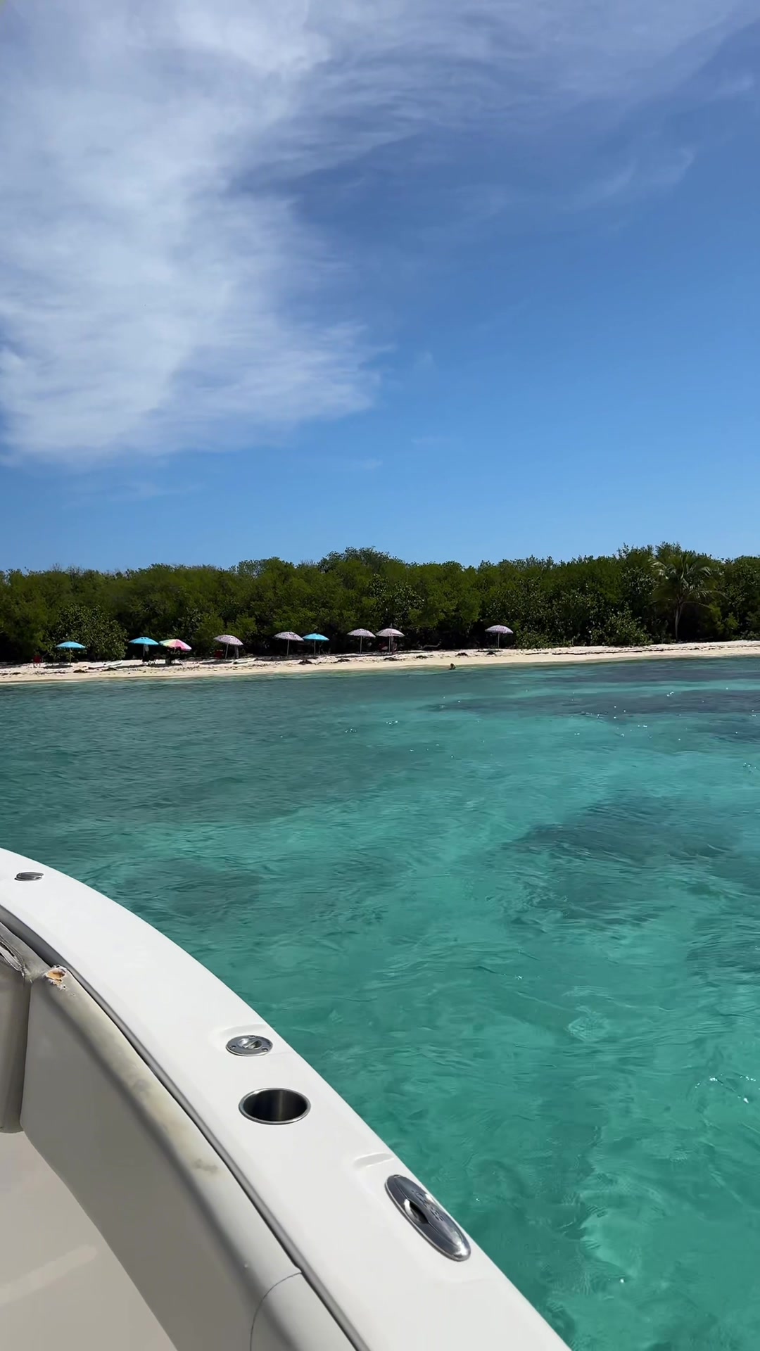 Culebrita