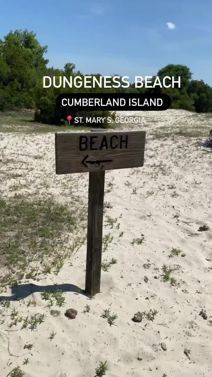 Cumberland Island