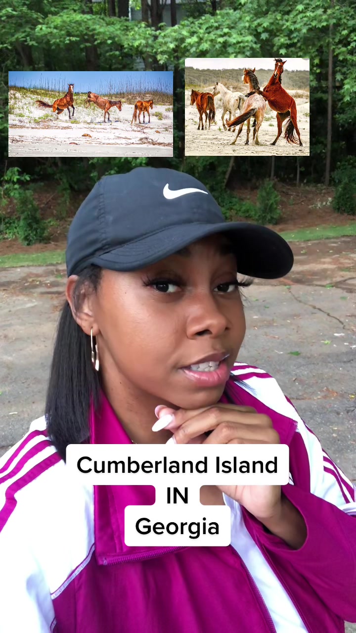 Cumberland Island