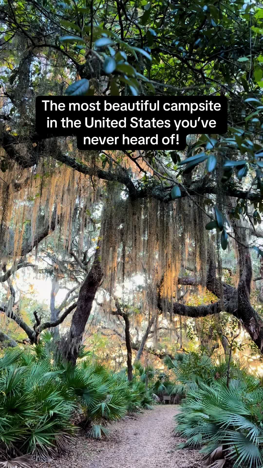 Cumberland Island