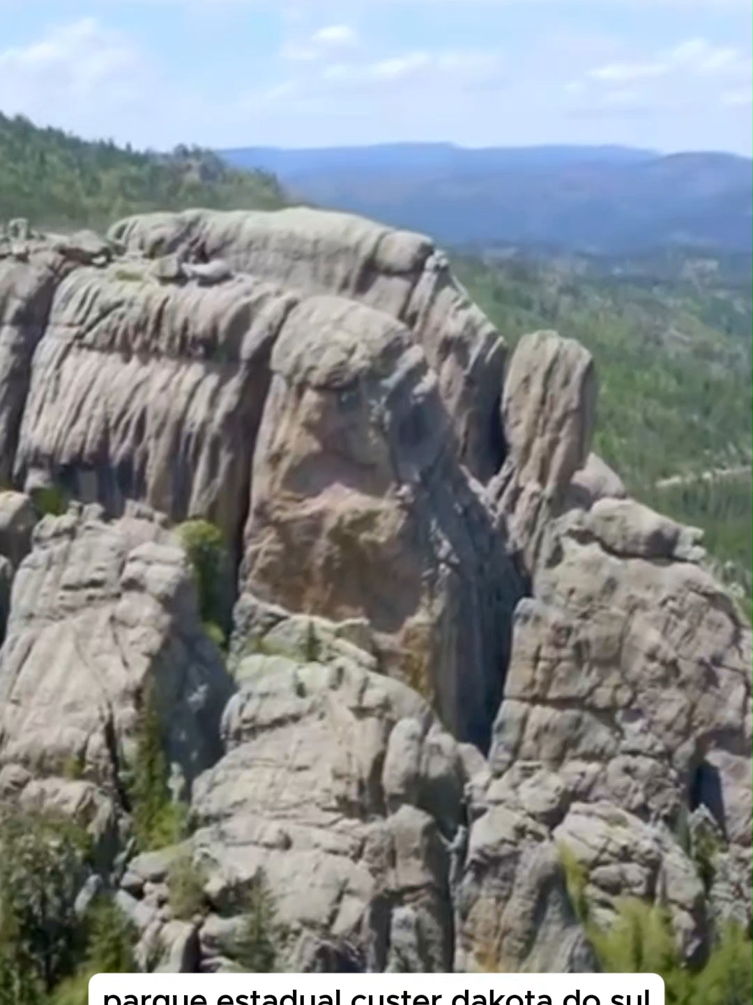 Custer State Park
