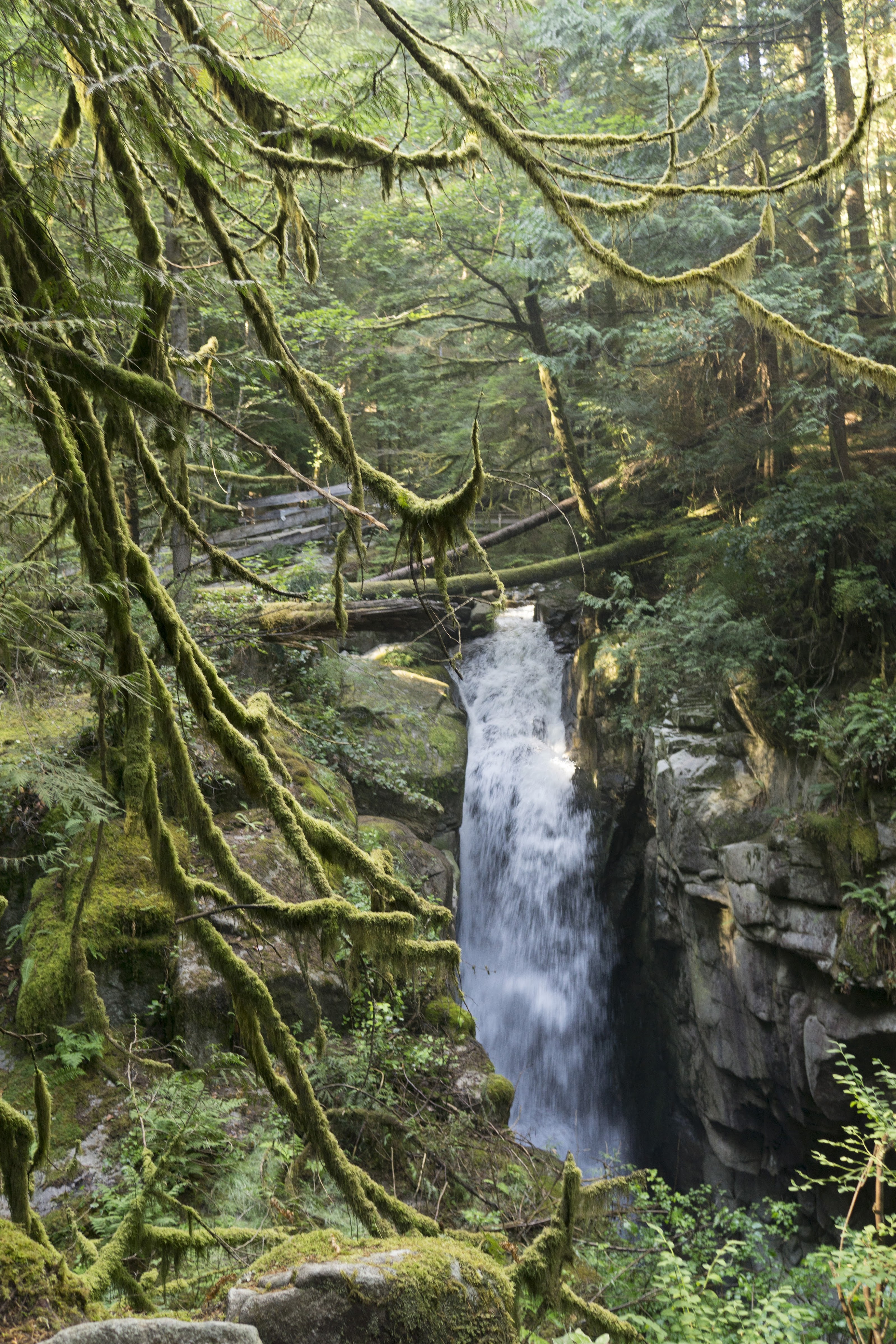 Cypress Falls Park