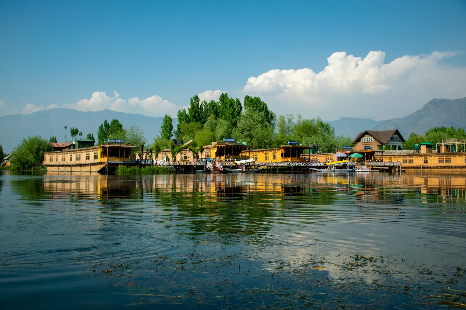 אגם דאל (Dal Lake, Dharamshala)