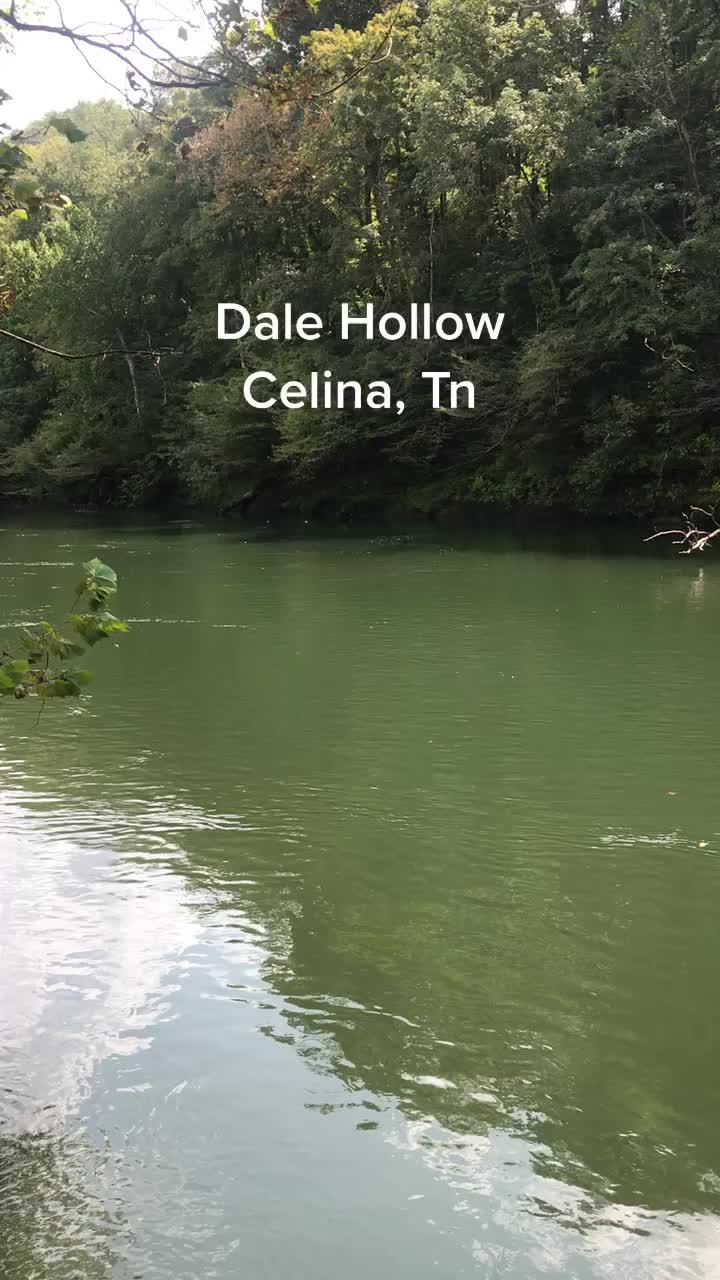 Dale Hollow Lake