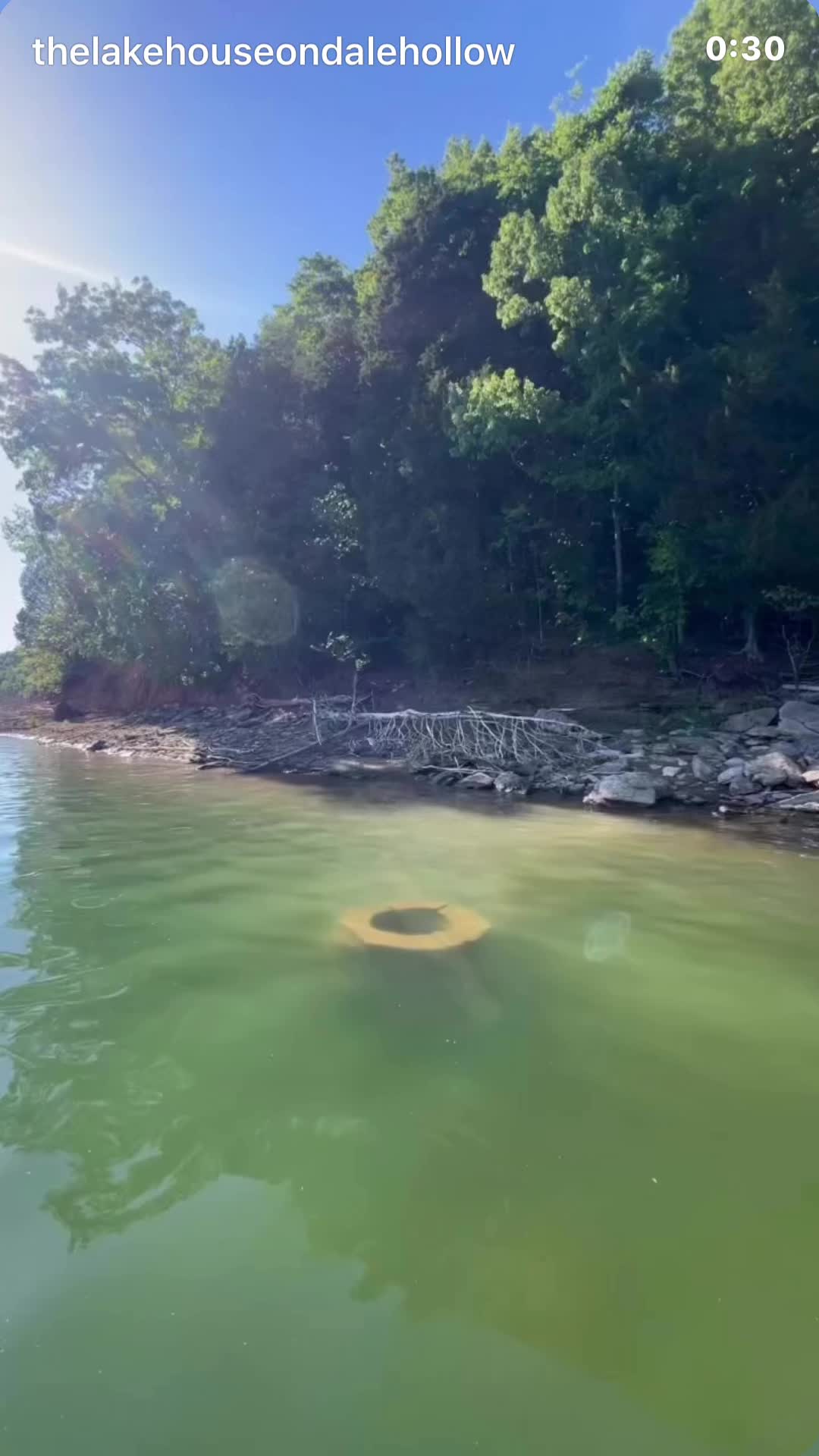 Dale Hollow Lake