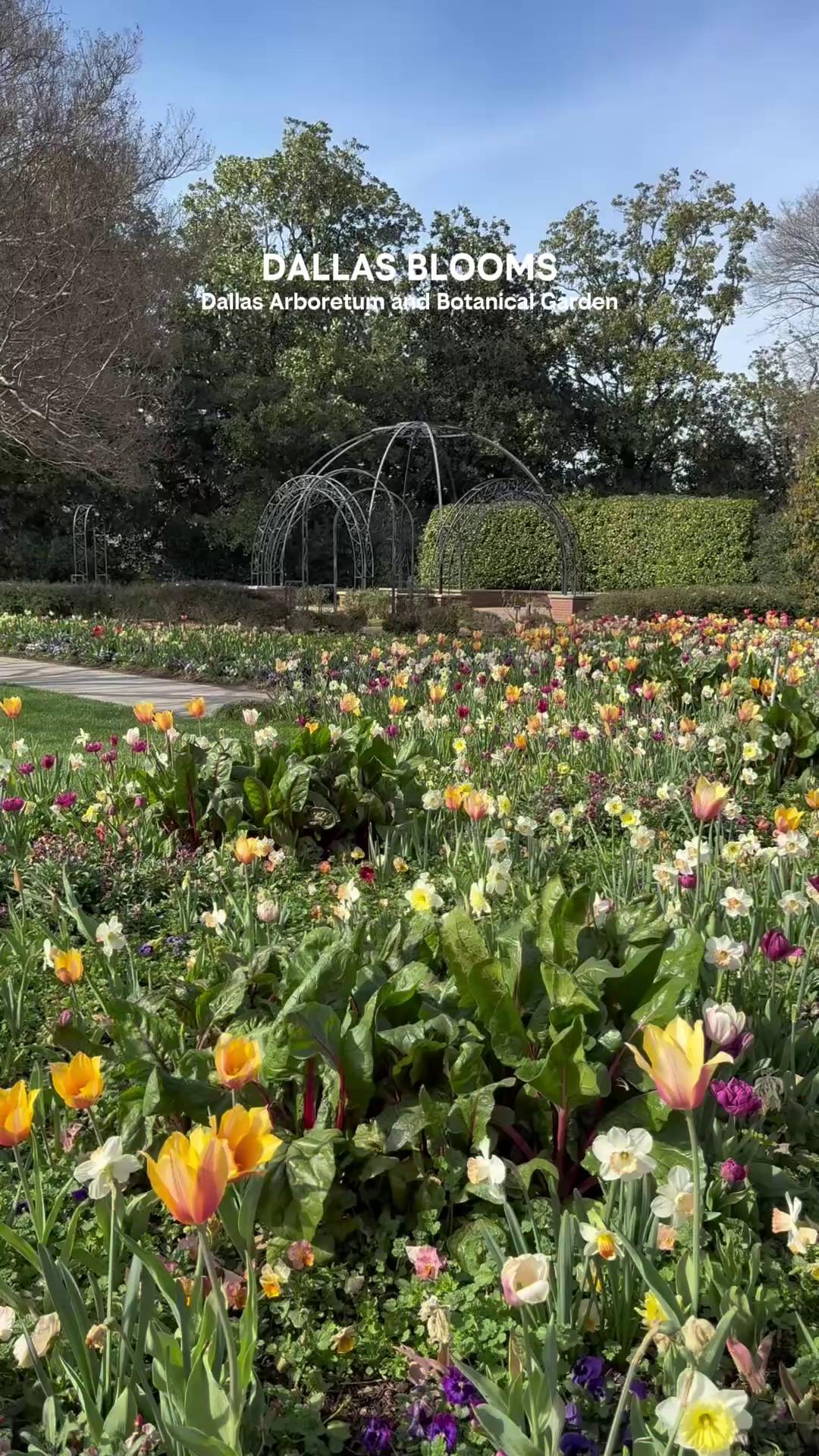 Dallas Arboretum and Botanical Garden