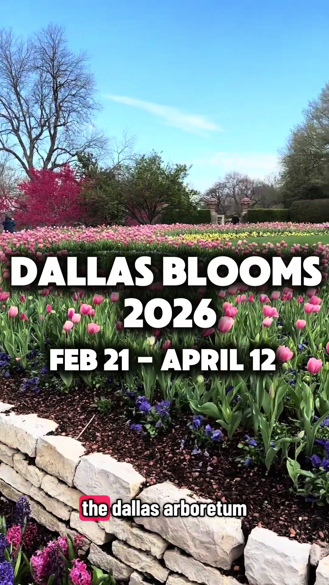 Dallas Arboretum and Botanical Garden