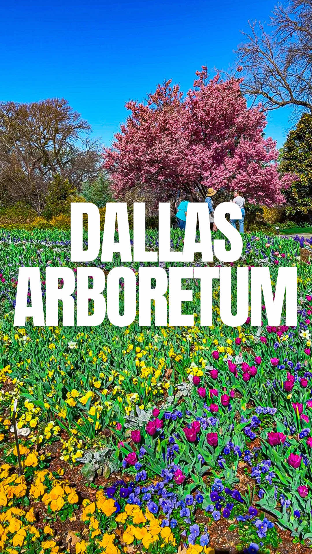 Dallas Arboretum and Botanical Garden