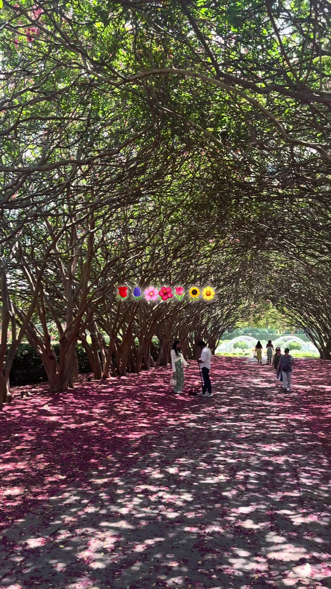 Dallas Arboretum and Botanical Garden