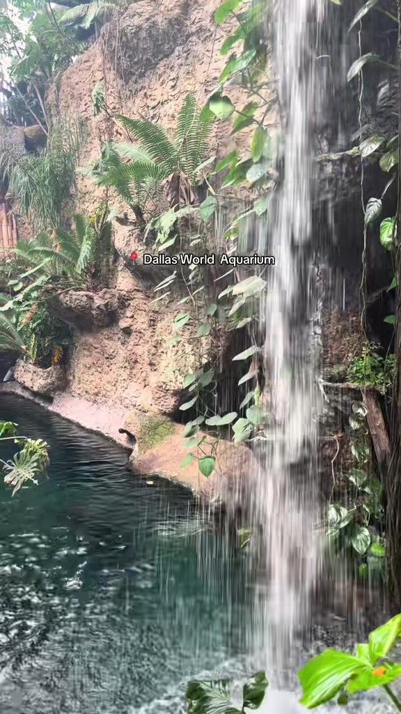 Dallas World Aquarium