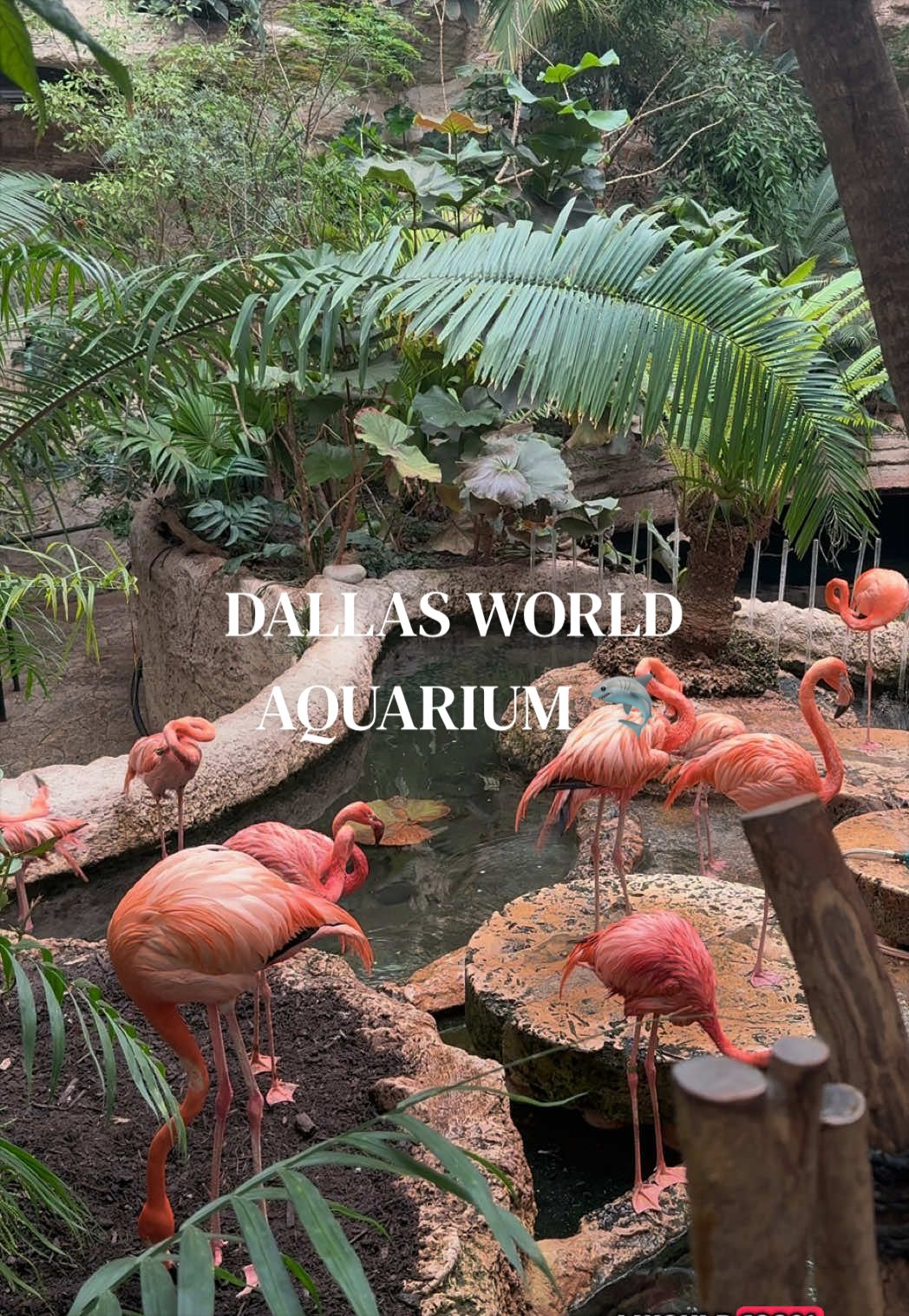 Dallas World Aquarium