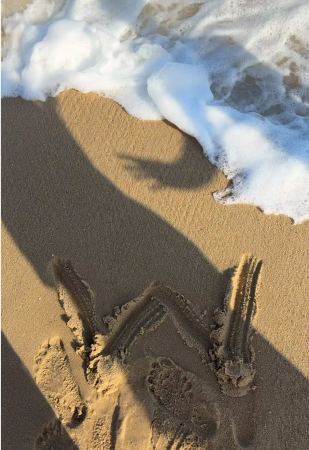 Dameisha Beach (Шэньчжэнь)