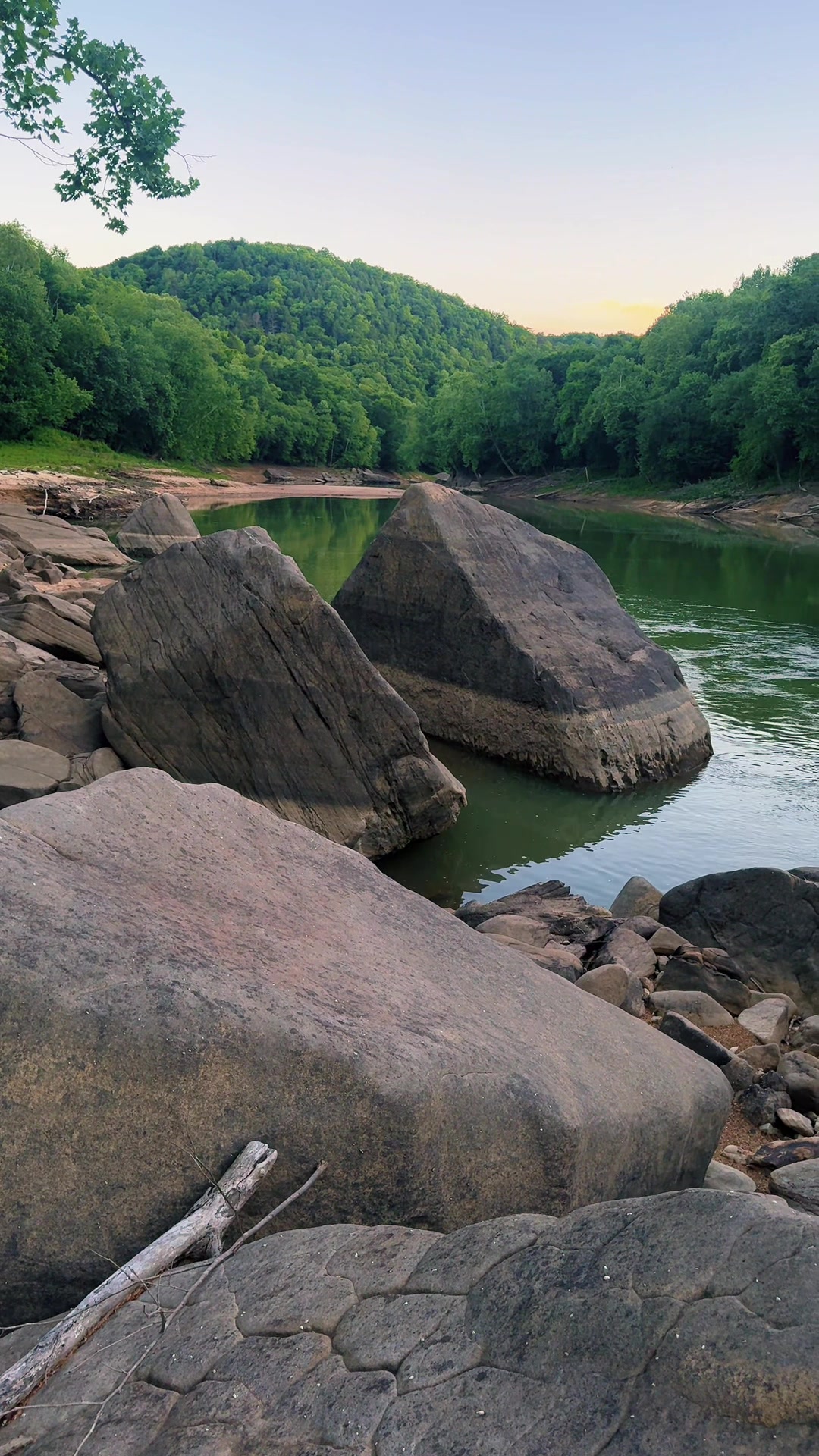 Daniel Boone National Forest