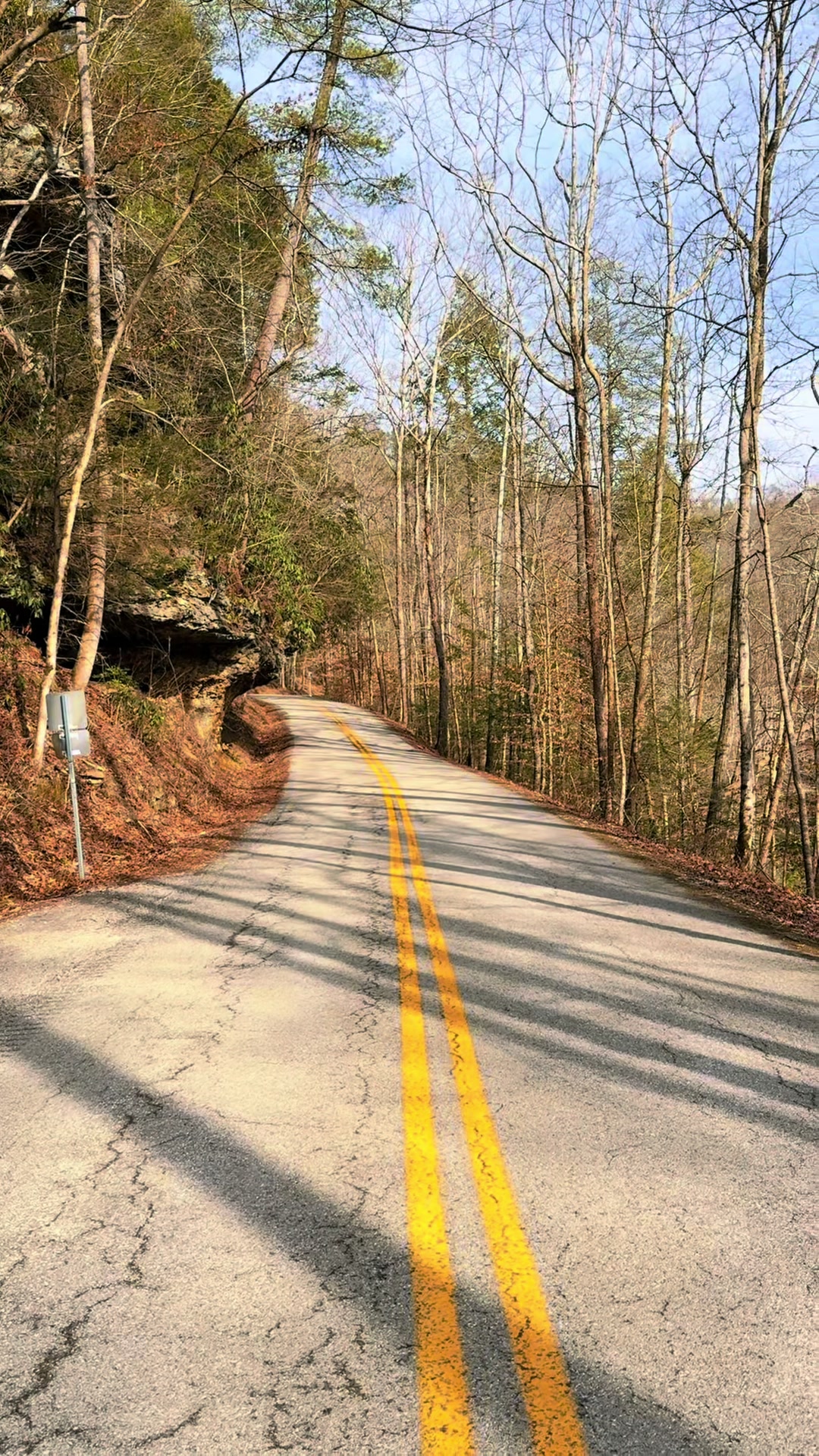 Daniel Boone National Forest