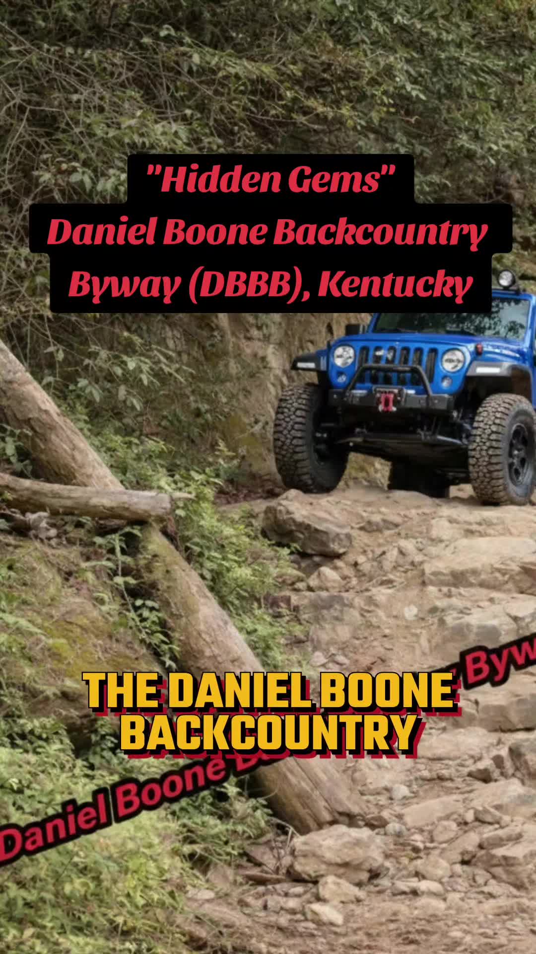 Daniel Boone National Forest