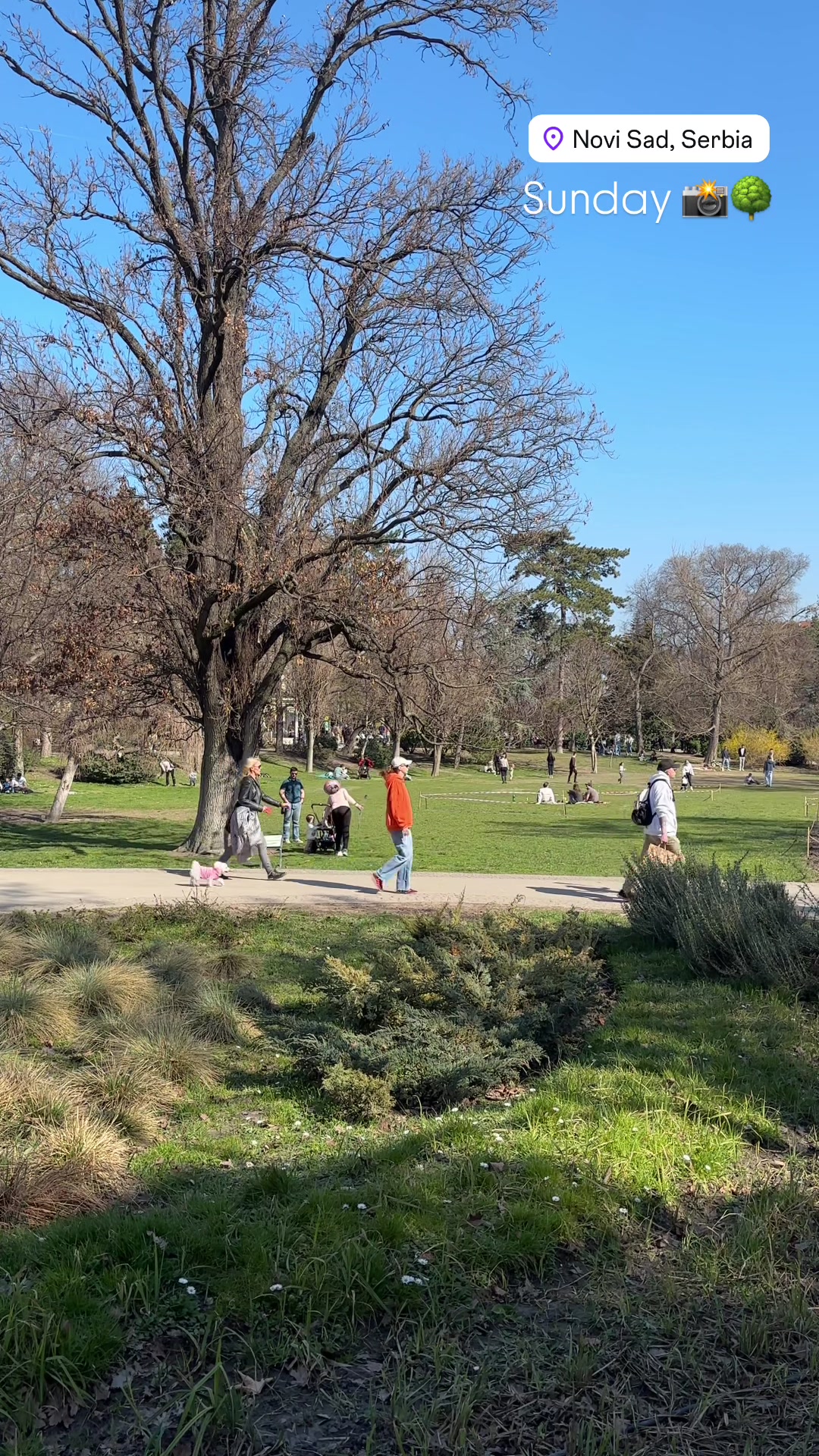 Danube Park (Dunavski Park)