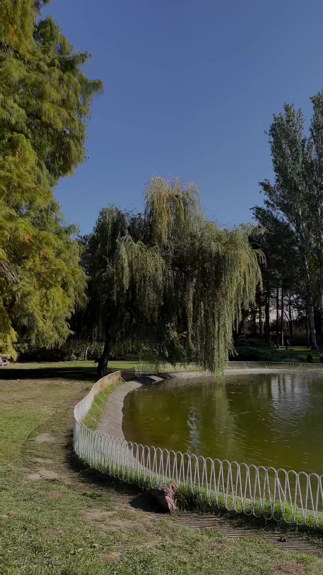Danube Park (Novi Sad)