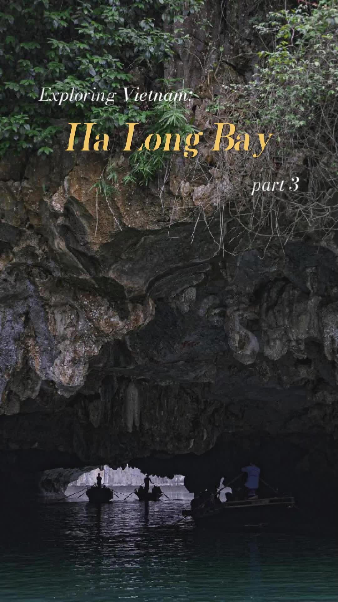 Dark & Bright Cave (Hang Toi & Hang Sang)