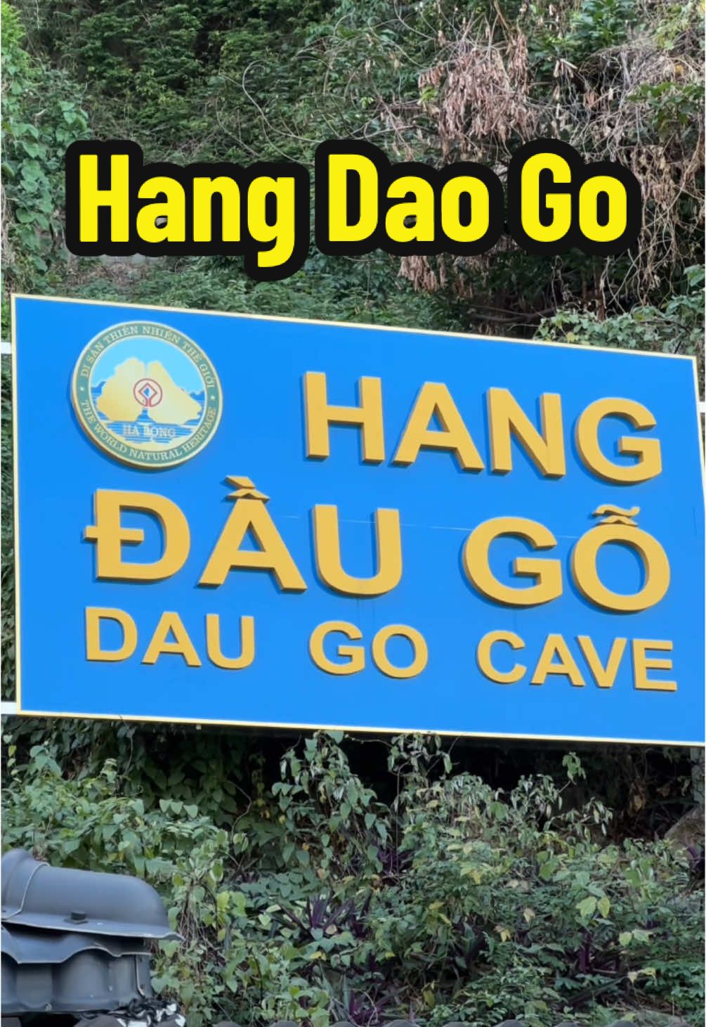 Dau Go Cave