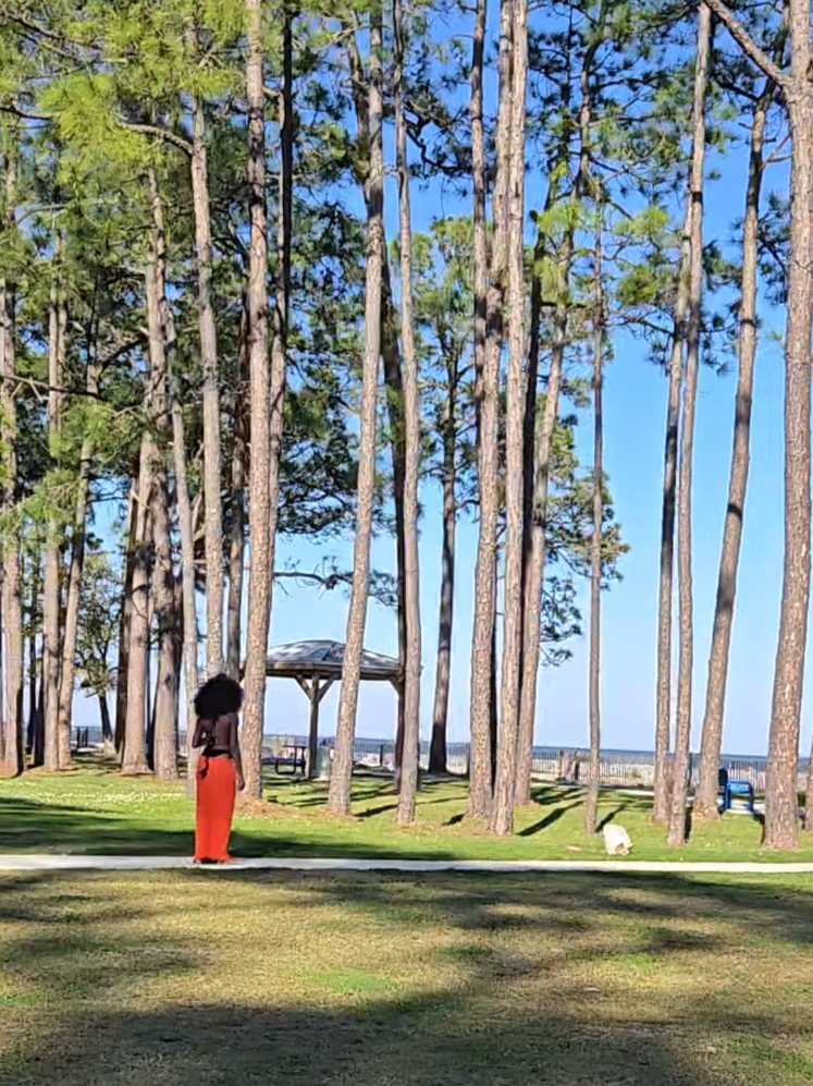 Dauphin Island, AL
