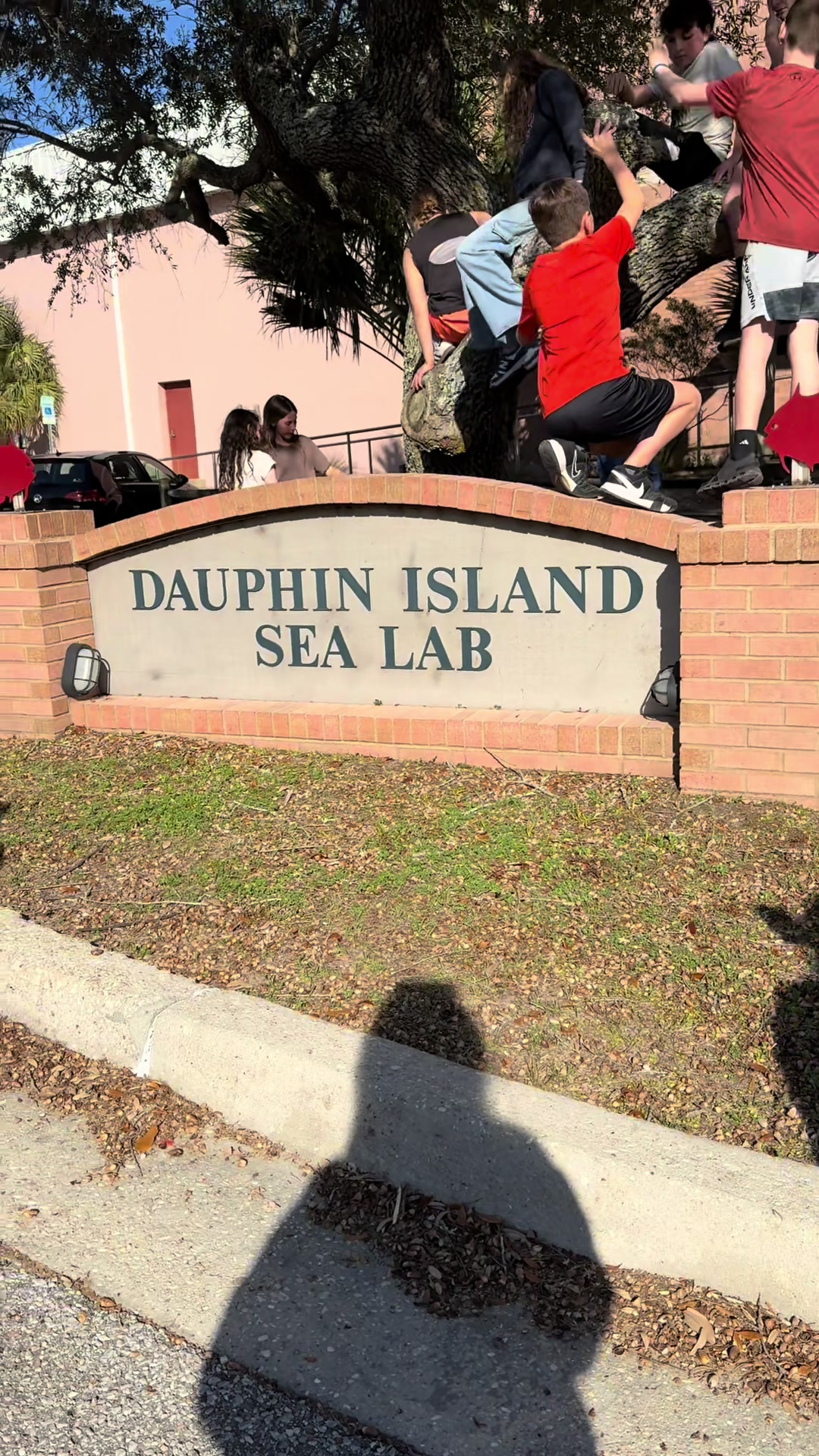 Dauphin Island, AL