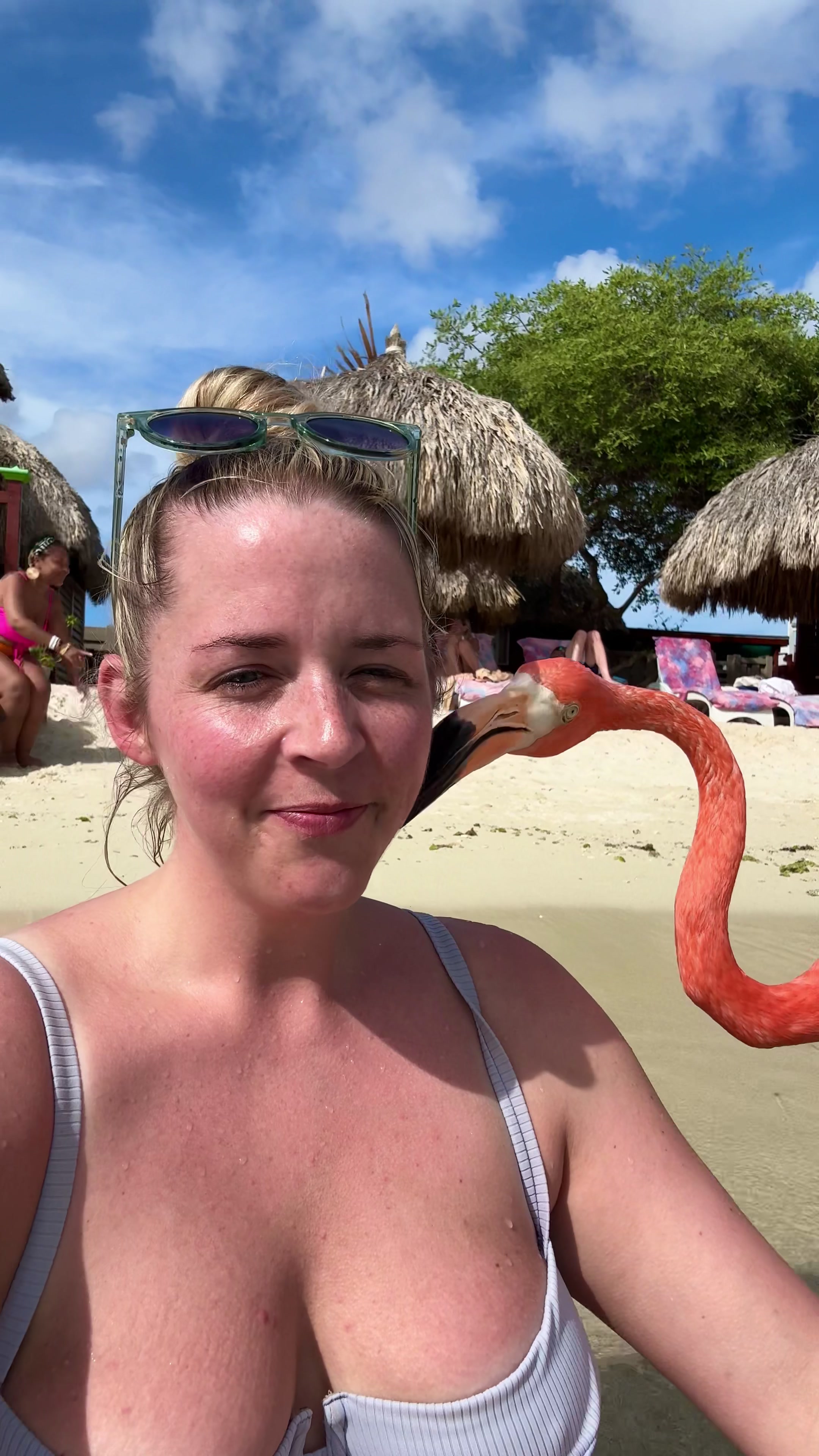 De Palm Island