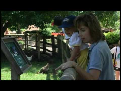 Deanna Rose Children's Farmstead
