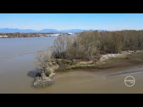 Deas Island Regional Park